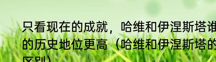 只看现在的成就，哈维和伊涅斯塔谁的历史地位更高（哈维和伊涅斯塔的区别）