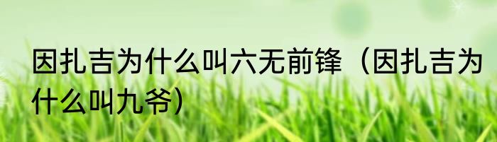 因扎吉为什么叫六无前锋（因扎吉为什么叫九爷）