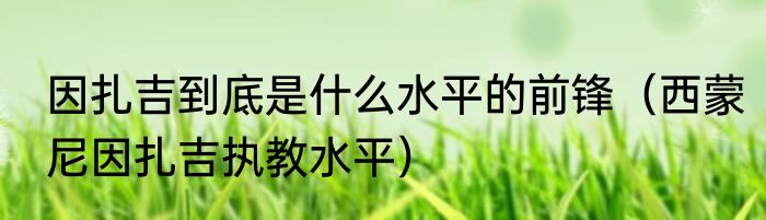 因扎吉到底是什么水平的前锋（西蒙尼因扎吉执教水平）