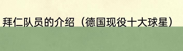 拜仁队员的介绍（德国现役十大球星）
