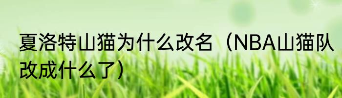 夏洛特山猫为什么改名（NBA山猫队改成什么了）