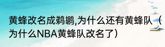 黄蜂改名成鹈鹕,为什么还有黄蜂队（为什么NBA黄蜂队改名了）