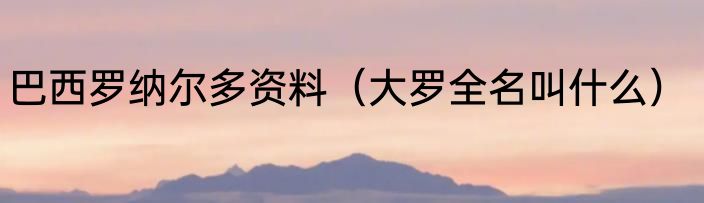 巴西罗纳尔多资料（大罗全名叫什么）