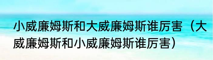 小威廉姆斯和大威廉姆斯谁厉害（大威廉姆斯和小威廉姆斯谁厉害）