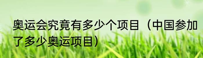奥运会究竟有多少个项目（中国参加了多少奥运项目）