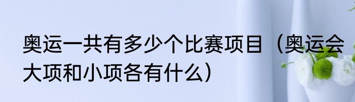 奥运一共有多少个比赛项目（奥运会大项和小项各有什么）