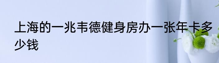 上海的一兆韦德健身房办一张年卡多少钱