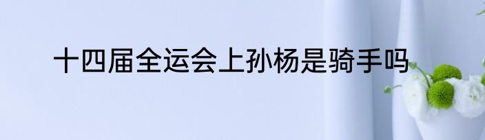 十四届全运会上孙杨是骑手吗