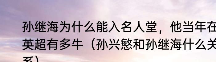 孙继海为什么能入名人堂，他当年在英超有多牛（孙兴慜和孙继海什么关系）