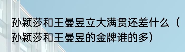 孙颖莎和王曼昱立大满贯还差什么（孙颖莎和王曼昱的金牌谁的多）