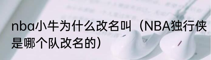 11年总决赛小牛是怎么做到击败热火的（热火三巨头第一年输给谁了）