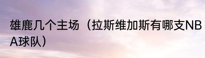 雄鹿几个主场(拉斯维加斯有哪支NBA球队)