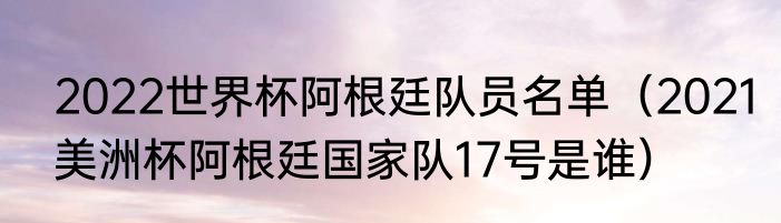 2022世界杯阿根廷队员名单（2021美洲杯阿根廷国家队17号是谁）