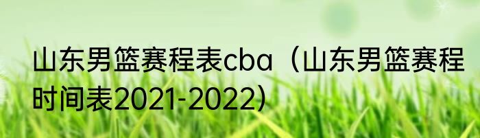 山东男篮赛程表cba（山东男篮赛程时间表2021-2022）