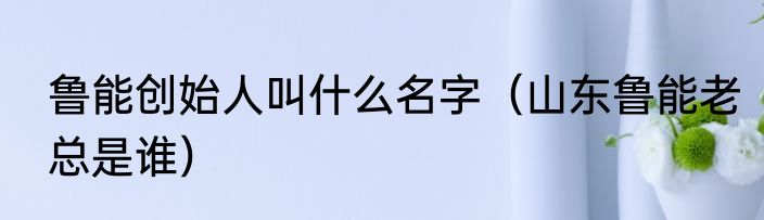 鲁能创始人叫什么名字（山东鲁能老总是谁）