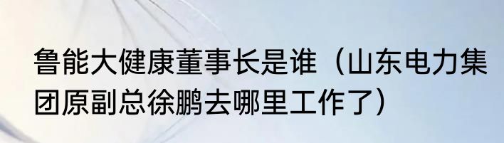 鲁能大健康董事长是谁（山东电力集团原副总徐鹏去哪里工作了）