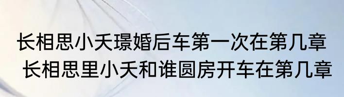长相思小夭璟婚后车第一次在第几章   长相思里小夭和谁圆房开车在第几章