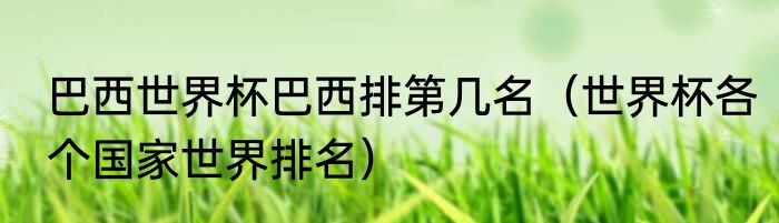 巴西世界杯巴西排第几名（世界杯各个国家世界排名）