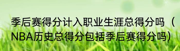 季后赛得分计入职业生涯总得分吗（NBA历史总得分包括季后赛得分吗）