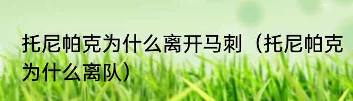 托尼帕克为什么离开马刺（托尼帕克为什么离队）