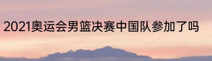 2021奥运会男篮决赛中国队参加了吗