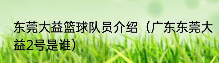 东莞大益篮球队员介绍（广东东莞大益2号是谁）