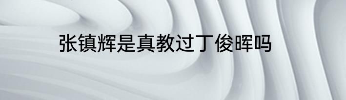 张镇辉是真教过丁俊晖吗