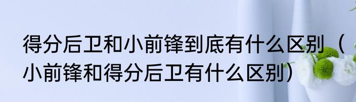 得分后卫和小前锋到底有什么区别（小前锋和得分后卫有什么区别）