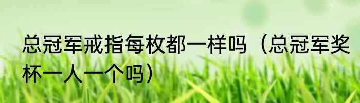 总冠军戒指每枚都一样吗（总冠军奖杯一人一个吗）