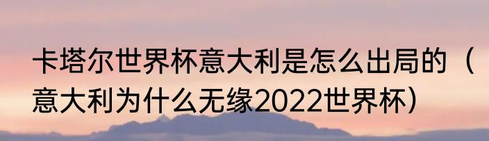 卡塔尔世界杯意大利是怎么出局的（意大利为什么无缘2022世界杯）