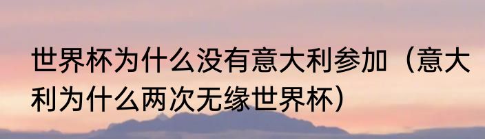 世界杯为什么没有意大利参加（意大利为什么两次无缘世界杯）