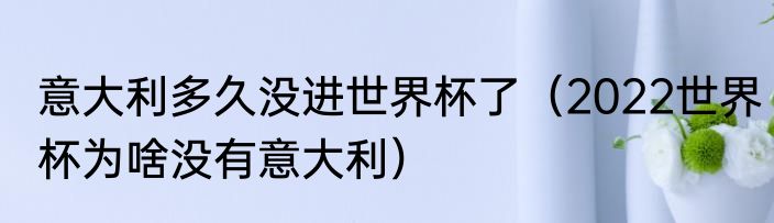 意大利多久没进世界杯了（2022世界杯为啥没有意大利）