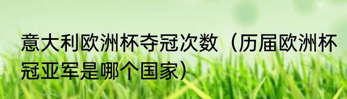 意大利欧洲杯夺冠次数（历届欧洲杯冠亚军是哪个国家）
