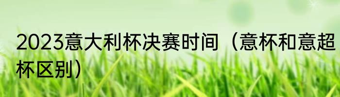 2023意大利杯决赛时间（意杯和意超杯区别）