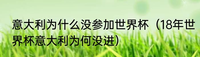 意大利为什么没参加世界杯（18年世界杯意大利为何没进）