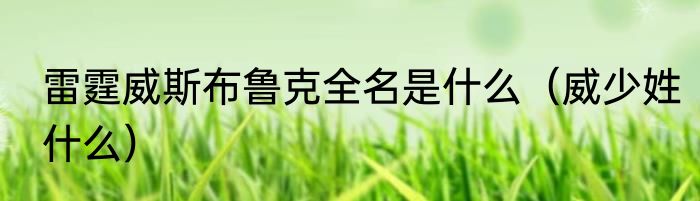 雷霆威斯布鲁克全名是什么（威少姓什么）