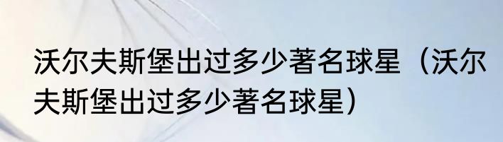 沃尔夫斯堡出过多少著名球星（沃尔夫斯堡出过多少著名球星）
