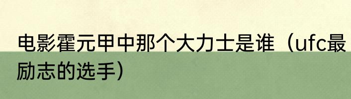 电影霍元甲中那个大力士是谁（ufc最励志的选手）