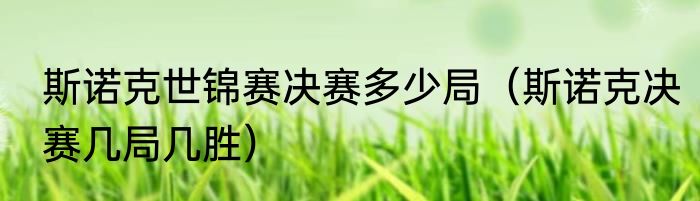 斯诺克世锦赛决赛多少局（斯诺克决赛几局几胜）