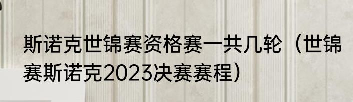 斯诺克世锦赛资格赛一共几轮（世锦赛斯诺克2023决赛赛程）