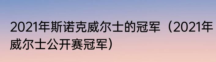 2021年斯诺克威尔士的冠军（2021年威尔士公开赛冠军）