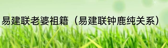 易建联老婆祖籍（易建联钟鹿纯关系）