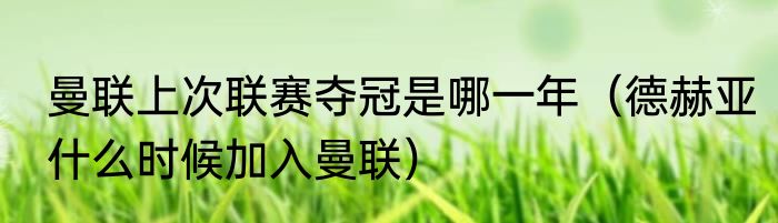 曼联上次联赛夺冠是哪一年（德赫亚什么时候加入曼联）