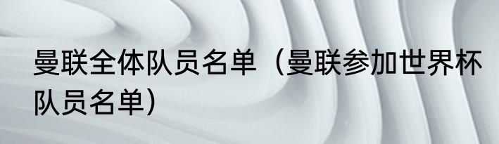 曼联全体队员名单（曼联参加世界杯队员名单）