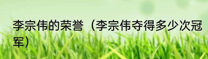 李宗伟的荣誉（李宗伟夺得多少次冠军）