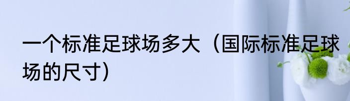 一个标准足球场多大（国际标准足球场的尺寸）