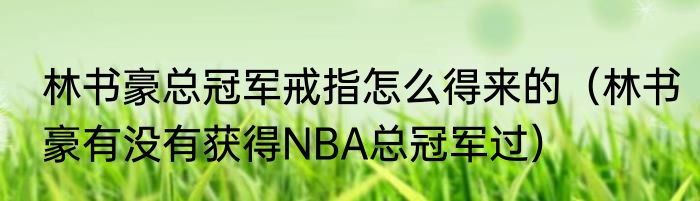 林书豪总冠军戒指怎么得来的（林书豪有没有获得NBA总冠军过）