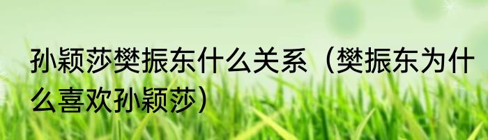 孙颖莎樊振东什么关系（樊振东为什么喜欢孙颖莎）