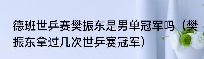 德班世乒赛樊振东是男单冠军吗（樊振东拿过几次世乒赛冠军）