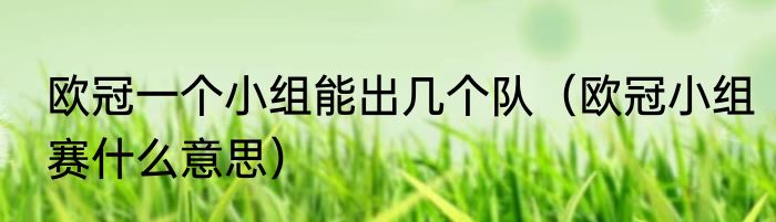 欧冠一个小组能出几个队（欧冠小组赛什么意思）